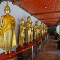 viele stehende Buddha • <a style="font-size:0.8em;" href="http://www.flickr.com/photos/127204351@N02/18013088066/" target="_blank">View on Flickr</a>