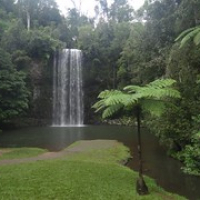 Millaa-Millaa-Falls • <a style="font-size:0.8em;" href="http://www.flickr.com/photos/127204351@N02/17006184718/" target="_blank">View on Flickr</a>