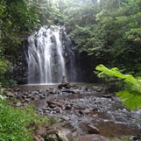 Ellinjaa Falls • <a style="font-size:0.8em;" href="http://www.flickr.com/photos/127204351@N02/16573733913/" target="_blank">View on Flickr</a>