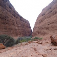 Walpa Gorge • <a style="font-size:0.8em;" href="http://www.flickr.com/photos/127204351@N02/16732470604/" target="_blank">View on Flickr</a>