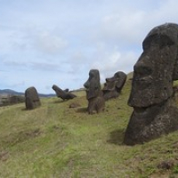 ziemlich fertige Moai im Steinbruch...jetzt müssen sie nur noch wegtransportiert werden... • <a style="font-size:0.8em;" href="http://www.flickr.com/photos/127204351@N02/15283719003/" target="_blank">View on Flickr</a>